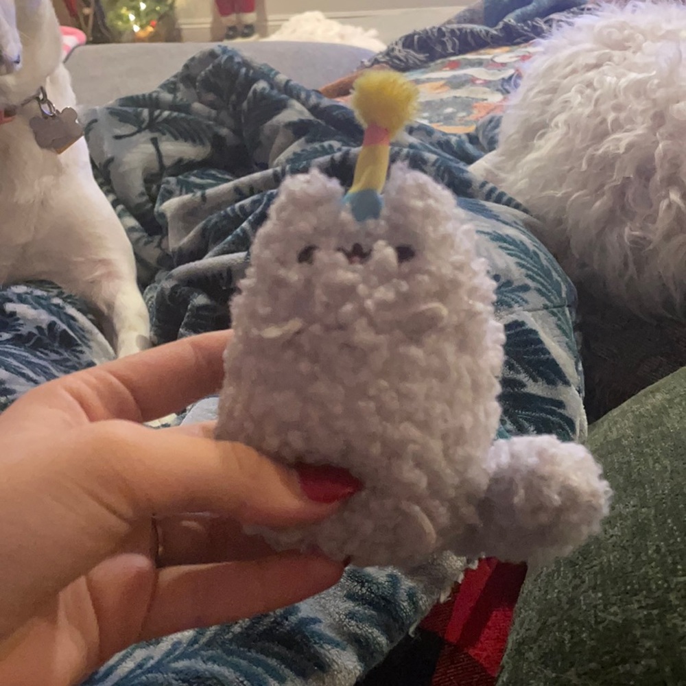 pusheen “stormy” plush from bday set